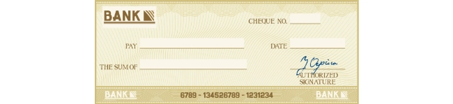 Check Payment Option